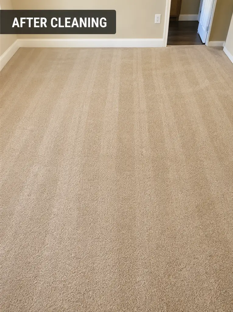 Carpet after cleaning