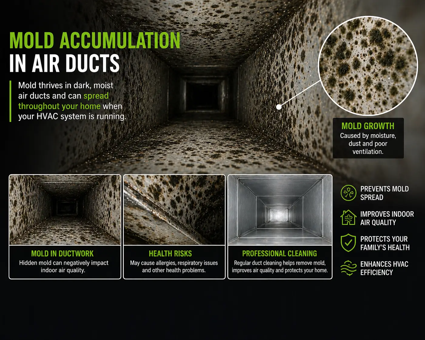 duct mold removal