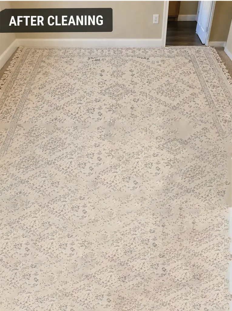 rug after cleaning