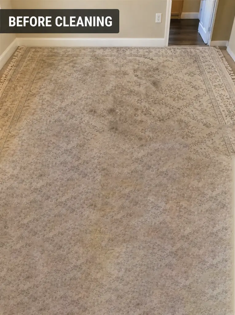 rug before cleaning